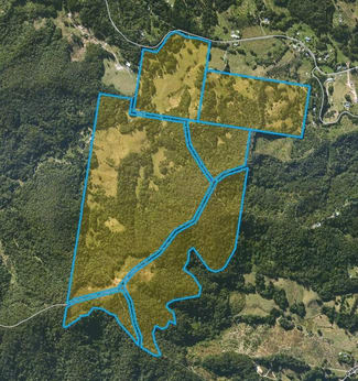 Rural / Farming commercial property for sale at 984 reserve creek road Reserve Creek NSW 2484