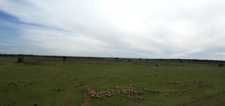 Rural / Farming commercial property for sale at 'Glenmore' The Bogan Way Tullamore NSW 2874 Rural / Farming commercial property for sale at 'Glenmore' The Bogan Way Tullamore NSW 2874