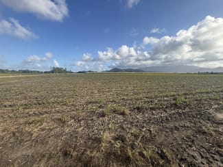 Rural / Farming commercial property for sale at Silkwood QLD 4856