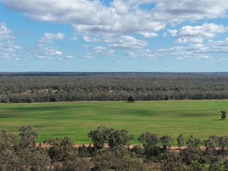 Rural / Farming commercial property for sale at 613 Doneys Road Coolabah NSW 2831