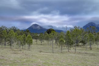 Rural / Farming commercial property for sale at 0 Cunningham Highway Clumber QLD 4309