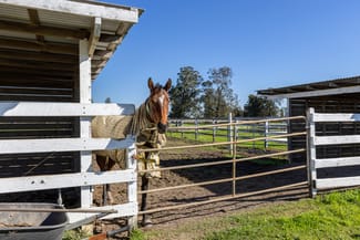 Rural / Farming commercial property for sale at 129 Newline Road Raymond Terrace NSW 2324 Rural / Farming commercial property for sale at 129 Newline Road Raymond Terrace NSW 2324