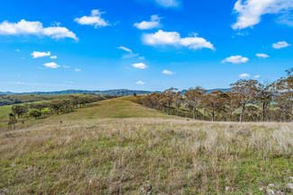 Rural / Farming commercial property for sale at Off Goorangoola Road Greenlands Singleton NSW 2330