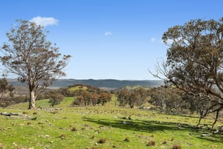 Rural / Farming commercial property for sale at Lot 1301, Queens Pinch Road Mudgee NSW 2850 Rural / Farming commercial property for sale at Lot 1301, Queens Pinch Road Mudgee NSW 2850