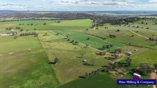 Rural / Farming commercial property for sale at 160 Twiggs Road Maryvale NSW 2820