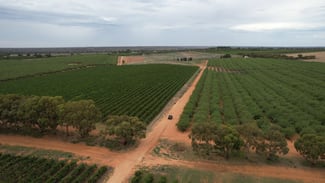 Rural / Farming commercial property for sale at New Residence SA 5333 Rural / Farming commercial property for sale at New Residence SA 5333