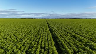 Rural / Farming commercial property for sale at 'Condowie' 1 Smitham Road Condowie SA 5464