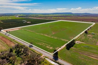 Rural / Farming commercial property for sale at 77 Fivebough Road Leeton NSW 2705 Rural / Farming commercial property for sale at 77 Fivebough Road Leeton NSW 2705