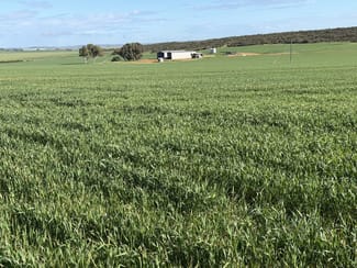 Rural / Farming commercial property for sale at Lot 9683 Walkaway-Nangetty Road Ellendale WA 6532 Rural / Farming commercial property for sale at Lot 9683 Walkaway-Nangetty Road Ellendale WA 6532