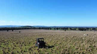 Rural / Farming commercial property for sale at Vera Farm Loch Lomond Road Gooloogong NSW 2805 Rural / Farming commercial property for sale at Vera Farm Loch Lomond Road Gooloogong NSW 2805