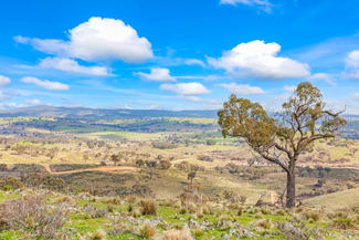 Rural / Farming commercial property for sale at 1092 Gowan Road Lower Lewis Ponds NSW 2800 Rural / Farming commercial property for sale at 1092 Gowan Road Lower Lewis Ponds NSW 2800