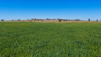 Rural / Farming commercial property for sale at 387 Soldiers Settlement Road Tamworth NSW 2340 Rural / Farming commercial property for sale at 387 Soldiers Settlement Road Tamworth NSW 2340