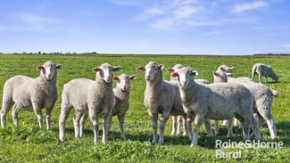 Rural / Farming commercial property for sale at A3 - A9 Kindaruar Road Milang SA 5256 Rural / Farming commercial property for sale at A3 - A9 Kindaruar Road Milang SA 5256