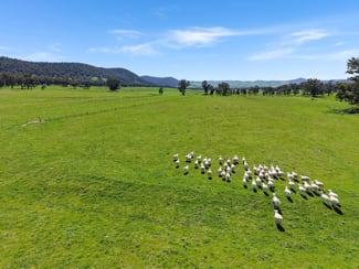 Rural / Farming commercial property for sale at 223 Rodwells Road Murga NSW 2864 Rural / Farming commercial property for sale at 223 Rodwells Road Murga NSW 2864