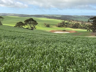 Rural / Farming commercial property for sale at 778 Pillaworta Road Koppio SA 5607