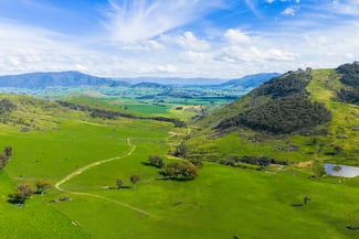 Rural / Farming commercial property for sale at 5589 Tooma Road Bringenbrong NSW 3707