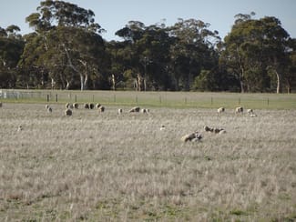Rural / Farming commercial property for sale at Lot 702 Dale Kokeby Road Kokeby WA 6304