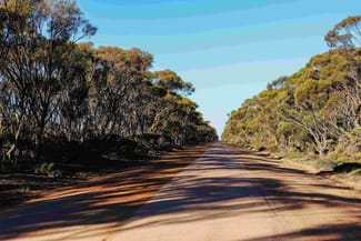 Rural / Farming commercial property for sale at Lot 354 Salmon Gums West Road Salmon Gums WA 6445 Rural / Farming commercial property for sale at Lot 354 Salmon Gums West Road Salmon Gums WA 6445
