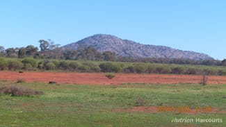 Rural / Farming commercial property for sale at * Cooneybar Station Cobar NSW 2835 Rural / Farming commercial property for sale at * Cooneybar Station Cobar NSW 2835