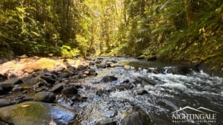 Rural / Farming commercial property for sale at 499 Old Cairns Track Butchers Creek QLD 4885