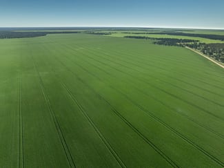 Rural / Farming commercial property for sale at 2483 Petro Mail Road Arumpo NSW 2715 Rural / Farming commercial property for sale at 2483 Petro Mail Road Arumpo NSW 2715
