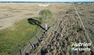Rural / Farming commercial property for sale at 611 Red Hill Road Chinchilla QLD 4413 Rural / Farming commercial property for sale at 611 Red Hill Road Chinchilla QLD 4413