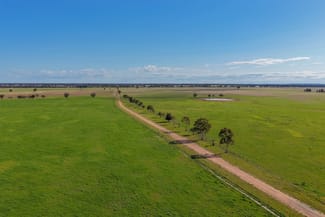 Rural / Farming commercial property for sale at "Greendale" 536 Wyrra Lane West Wyalong NSW 2671 Rural / Farming commercial property for sale at "Greendale" 536 Wyrra Lane West Wyalong NSW 2671