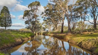 Rural / Farming commercial property for sale at 248 Houplines Road Peak Hill NSW 2869
