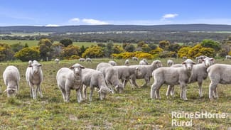 Rural / Farming commercial property for sale at Lot 259 Harvey Road Hartley SA 5255