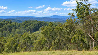 Rural / Farming commercial property for sale at 130 & 132 Mud Flat Road Drake NSW 2469