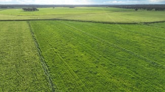 Rural / Farming commercial property for sale at Cobwell Station Sandy Bridge Road Barham NSW 2732 Rural / Farming commercial property for sale at Cobwell Station Sandy Bridge Road Barham NSW 2732
