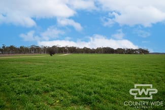 Rural / Farming commercial property for sale at 916 Emmaville Road Glen Innes NSW 2370 Rural / Farming commercial property for sale at 916 Emmaville Road Glen Innes NSW 2370