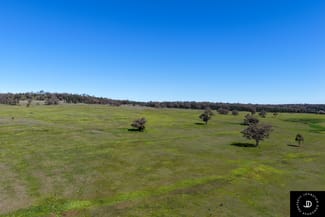 Rural / Farming commercial property for sale at 3449 Wyuna Road Mullaley NSW 2379