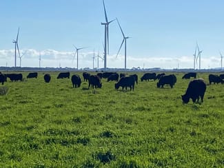 Rural / Farming commercial property for sale at 18 Chamallak Lane Kolora VIC 3265 Rural / Farming commercial property for sale at 18 Chamallak Lane Kolora VIC 3265