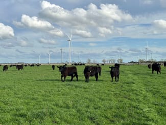 Rural / Farming commercial property for sale at 0 Tapps Lane Kolora VIC 3265 Rural / Farming commercial property for sale at 0 Tapps Lane Kolora VIC 3265