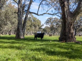 Rural / Farming commercial property for sale at 740 Long Lane Mansfield VIC 3722 Rural / Farming commercial property for sale at 740 Long Lane Mansfield VIC 3722