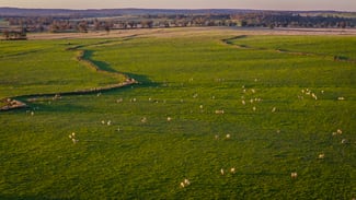 Rural / Farming commercial property for sale at 12R Quamby Road Wongarbon NSW 2831 Rural / Farming commercial property for sale at 12R Quamby Road Wongarbon NSW 2831