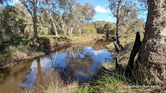 Rural / Farming commercial property for sale at 933 Hunter Road Orange Springs WA 6503 Rural / Farming commercial property for sale at 933 Hunter Road Orange Springs WA 6503