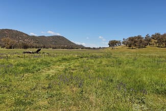 Rural / Farming commercial property for sale at 1532 Castlereagh Highway Mudgee NSW 2850 Rural / Farming commercial property for sale at 1532 Castlereagh Highway Mudgee NSW 2850