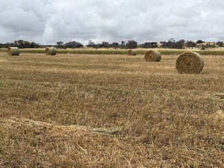 Rural / Farming commercial property for sale at 339 Butcher Road Bookara WA 6525 Rural / Farming commercial property for sale at 339 Butcher Road Bookara WA 6525