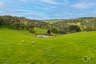 Rural / Farming commercial property for sale at 379 Louds Hill Road Willunga South SA 5172 Rural / Farming commercial property for sale at 379 Louds Hill Road Willunga South SA 5172