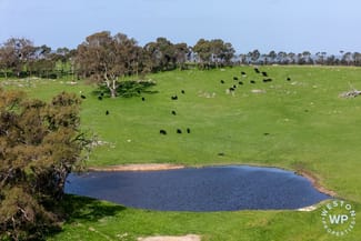 Rural / Farming commercial property for sale at Range Road Harrogate SA 5244 Rural / Farming commercial property for sale at Range Road Harrogate SA 5244