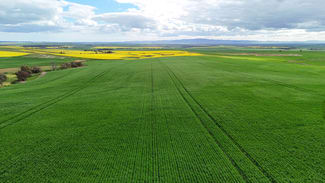 Rural / Farming commercial property for sale at 'Sweets & Gums' Pekina Range Road Pekina SA 5431