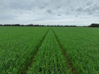 Rural / Farming commercial property for sale at - Drummartin Road Drummartin VIC 3570 Rural / Farming commercial property for sale at - Drummartin Road Drummartin VIC 3570