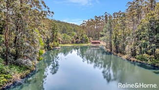 Rural / Farming commercial property for sale at 2984 Kyogle Road Kunghur NSW 2484 Rural / Farming commercial property for sale at 2984 Kyogle Road Kunghur NSW 2484