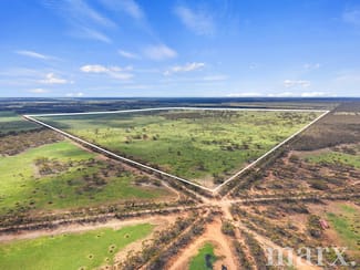 Rural / Farming commercial property for sale at Lot 195 Seven Cross Road Sedan SA 5353 Rural / Farming commercial property for sale at Lot 195 Seven Cross Road Sedan SA 5353