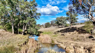 Rural / Farming commercial property for sale at 996 Whitlow Road Bingara NSW 2404