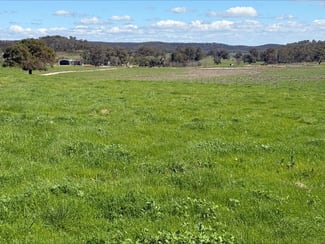 Rural / Farming commercial property for sale at 454 Brooklyn Road Dunedoo NSW 2844 Rural / Farming commercial property for sale at 454 Brooklyn Road Dunedoo NSW 2844