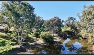 Rural / Farming commercial property for sale at 227 Allan Cunningham Bingara NSW 2404 Rural / Farming commercial property for sale at 227 Allan Cunningham Bingara NSW 2404