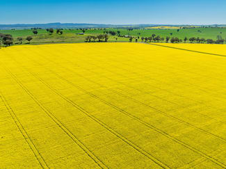 Rural / Farming commercial property for sale at 'Smiths' 5171 Cargo Road Canowindra NSW 2804